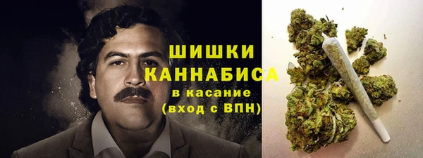 винт Новозыбков
