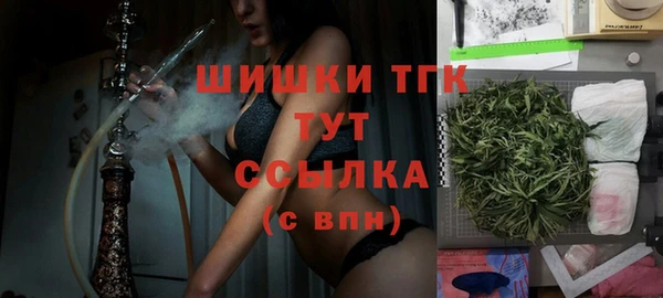 винт Новозыбков