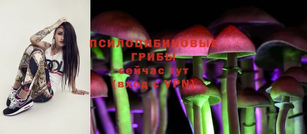 ешки Новокубанск