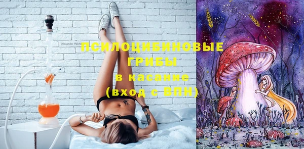 ешки Новокубанск