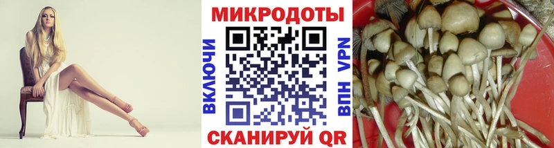 kraken   Шарья  Псилоцибиновые грибы прущие грибы 
